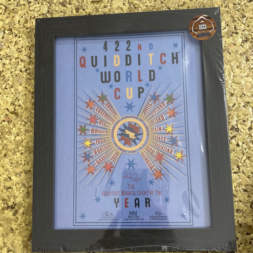 NWT Harry Potter framed Quidditch World Cup
